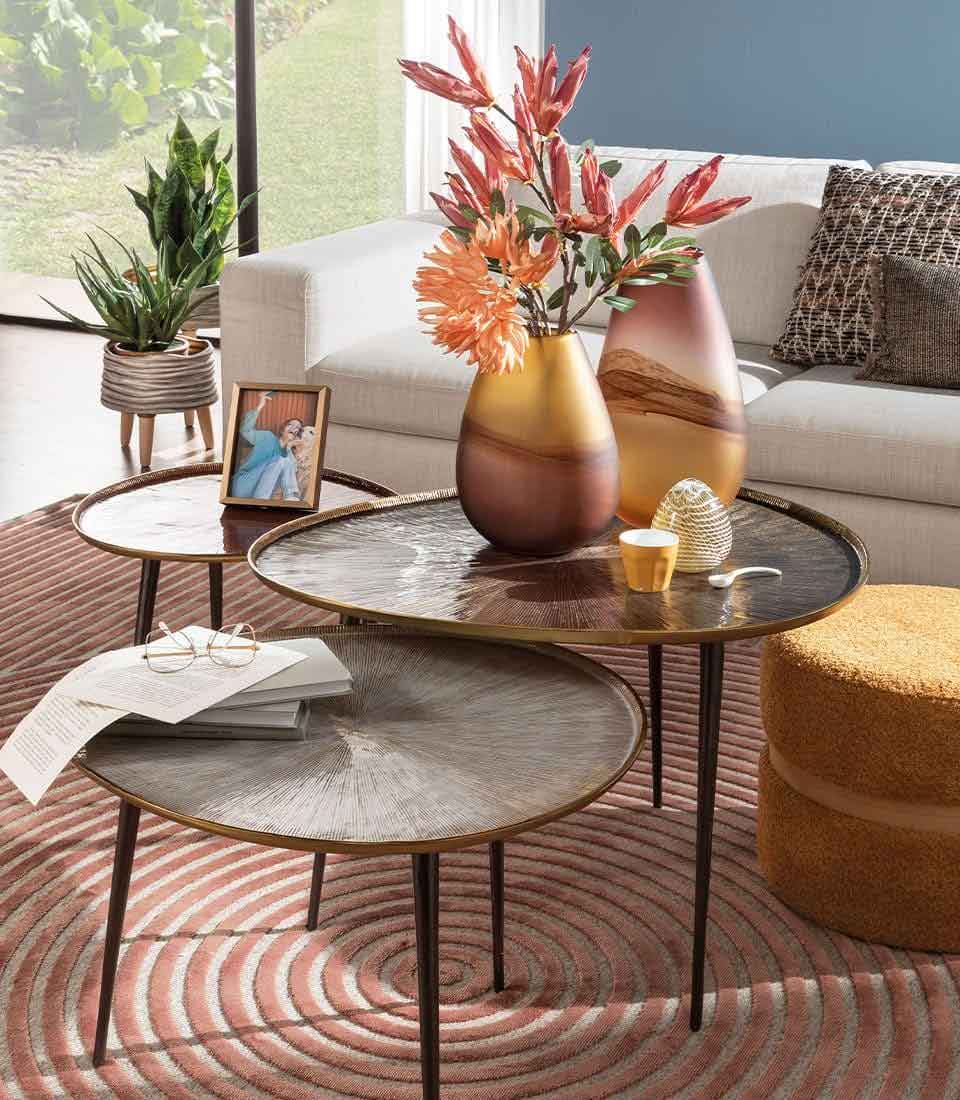 The Black Goose Medium Coffee Table