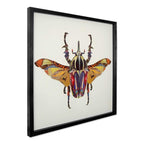 ADM Quadro Collage Scarabeo SA024A1
