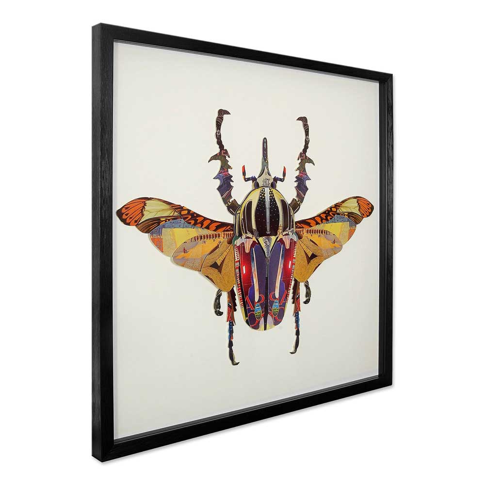 ADM Quadro Collage Scarabeo SA024A1