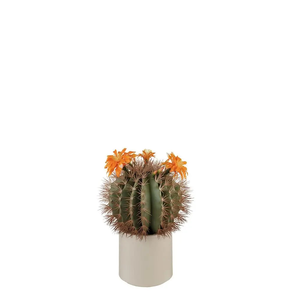 Cactus con Fiori Arancioni Vaso Minimal | L'Oca Nera