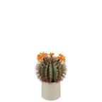 Cactus con Fiori Arancioni Vaso Minimal | L'Oca Nera