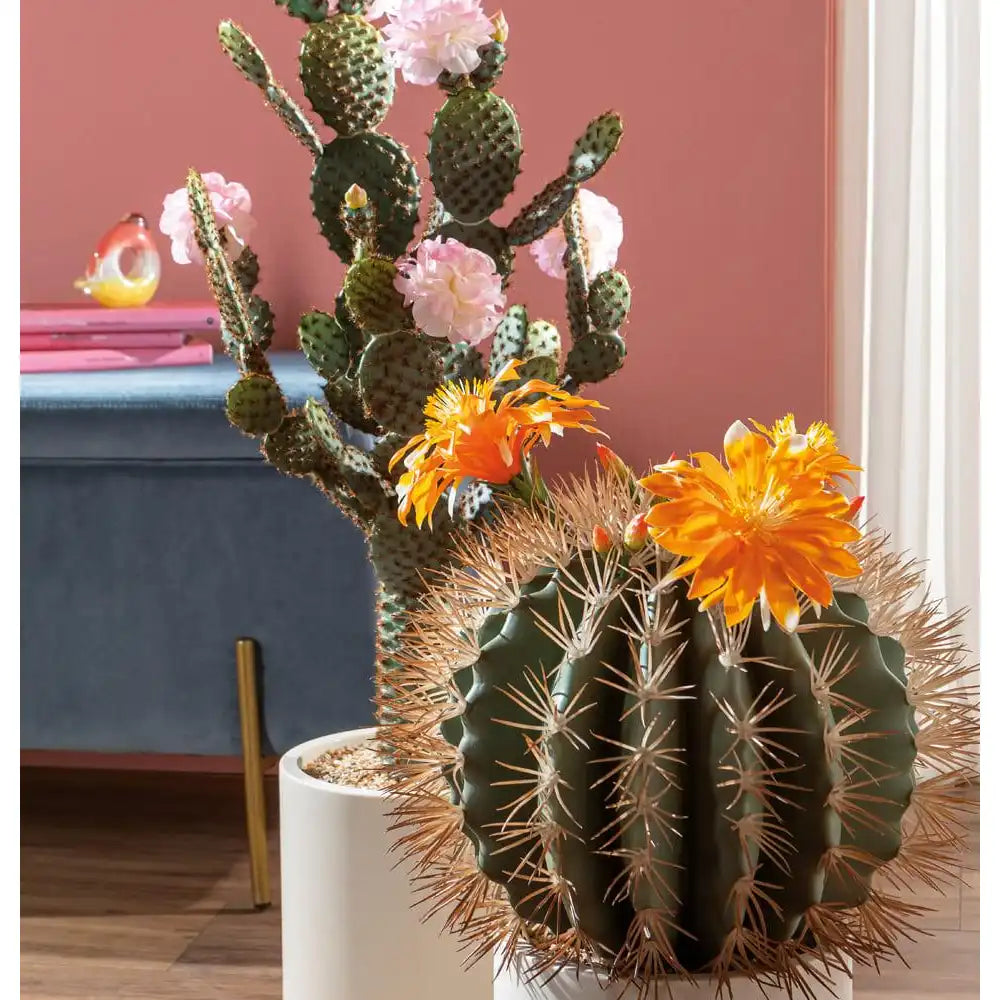 Cactus con Fiori Rosa Vaso Minimal 85cm | L'Oca Nera