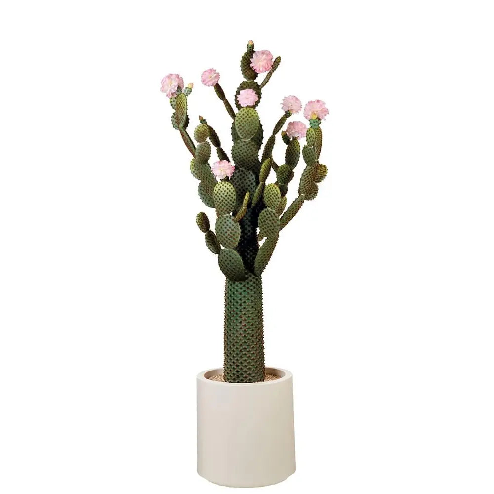 Cactus con Fiori Rosa Vaso Minimal 155cm | L'Oca Nera
