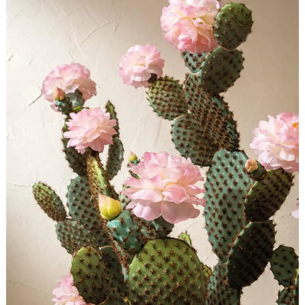 Cactus con Fiori Rosa Vaso Minimal 155cm | L'Oca Nera