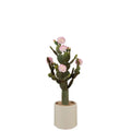 Cactus con Fiori Rosa Vaso Minimal 85cm | L'Oca Nera