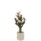 Cactus con Fiori Rosa Vaso Minimal 85cm | L'Oca Nera