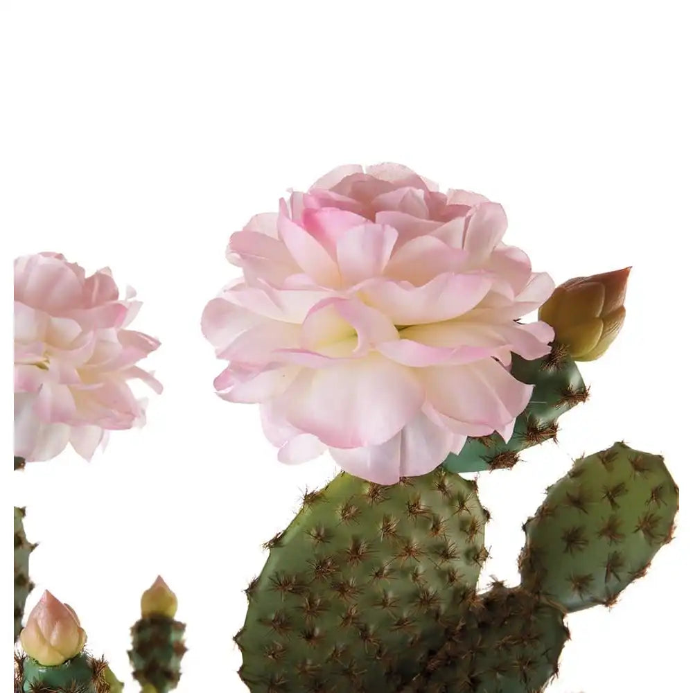 Cactus con Fiori Rosa Vaso Minimal 85cm | L'Oca Nera