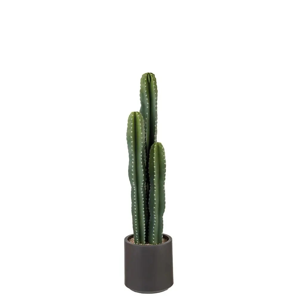 Cactus con Vaso Minimal Green Design | L'Oca Nera
