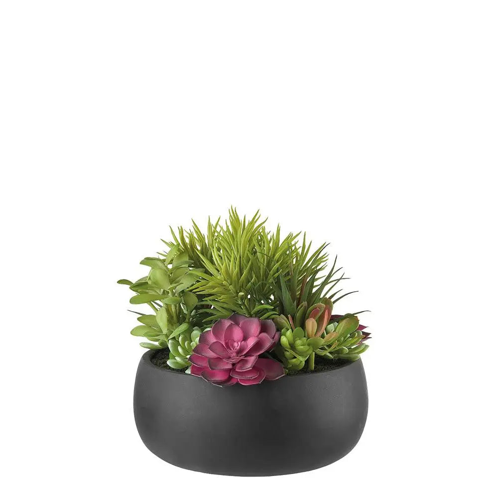 Composizione Piante Grasse Vaso Abbinato Green Moderno | L'Oca Nera