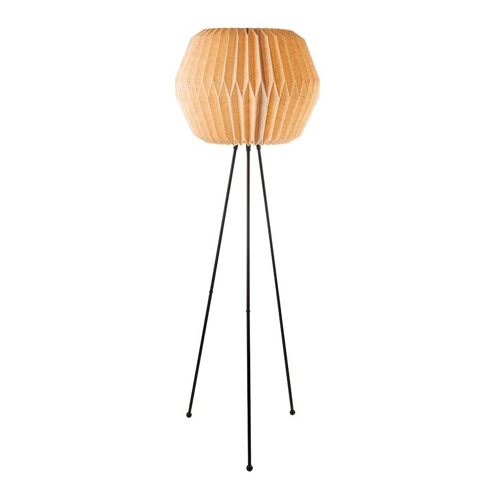 The Black Goose Floor Lamp 1G154