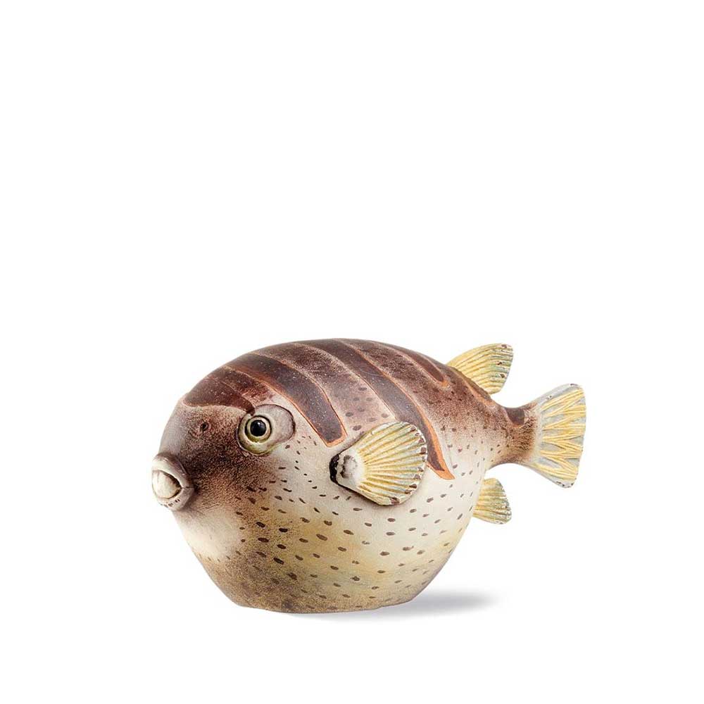 L'Oca Nera Pesce Palla Colomesus 1B120