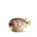 L'Oca Nera Pesce Palla Colomesus 1B120