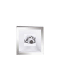 The Black Goose Square Photo Frame 1F37