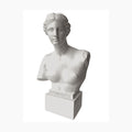 Palais Royal Busto Aphrodite Bianco 35 cm