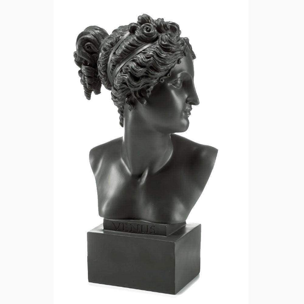 Palais Royal Busto Venere Grey 50 cm