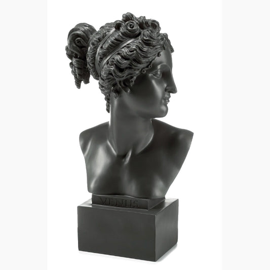 Palais Royal Busto Venere Grey 50 cm