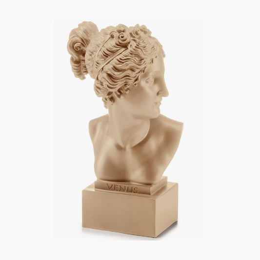 Palais Royal Busto Venere Taupe 50 cm