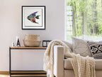 ADM Quadro Collage Pesce Tropicale 1 SA007A1