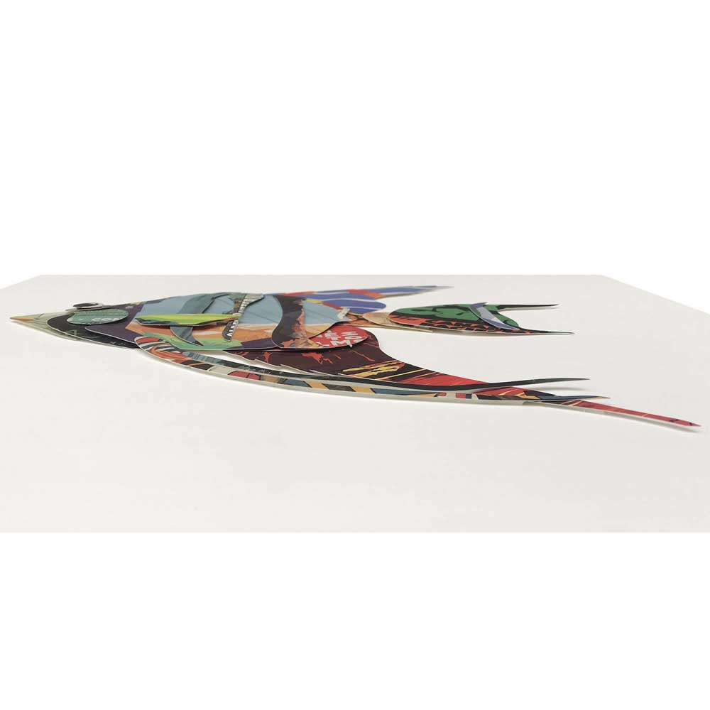 ADM Quadro Collage Pesce Tropicale 1 SA007A1