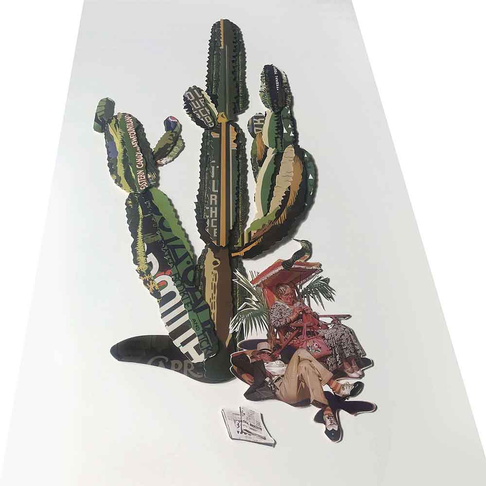 ADM Quadro Collage Cactus SA039A1