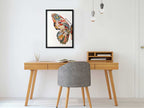 ADM Quadro Collage Mezza Farfalla SA055B1