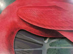ADM Quadro Collage Fenicottero SA065A1