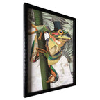 ADM Quadro Collage 3D Rana con Cappello a Cilindro 1 SA074A1