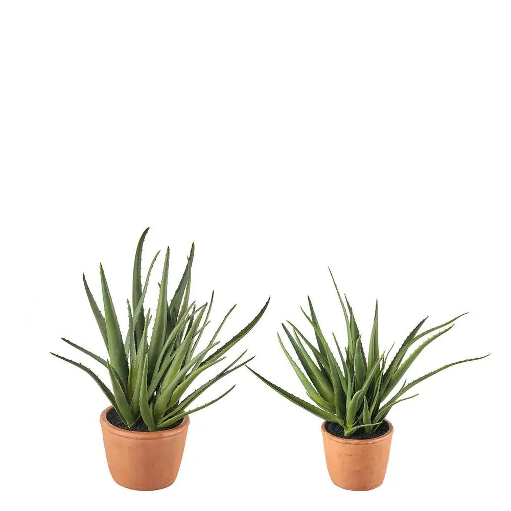 Set 2 Vasi Aloe Artificiale Stile Mediterraneo | L'Oca Nera
