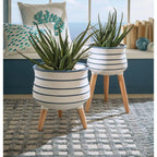 Set 2 Vasi Aloe Artificiale Stile Mediterraneo | L'Oca Nera