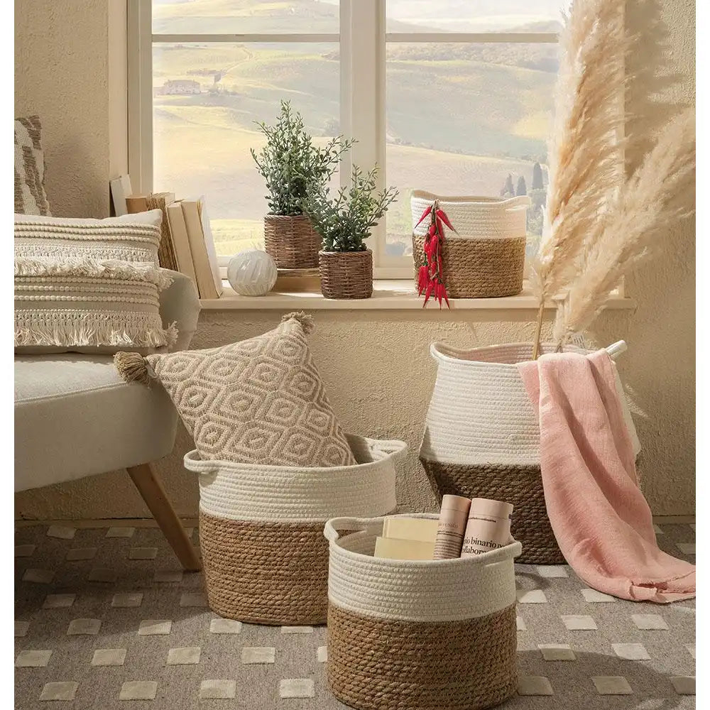 Set 2 Vasi Sedum Artificiale Angolo Green Moderno | L'Oca Nera