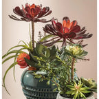 Set 2 Composizioni Piante Grasse Vasi Ceramica Bianca Ethno Chic | L'Oca Nera