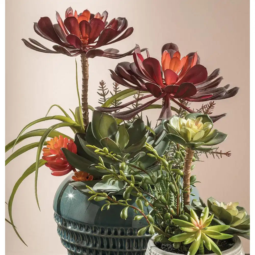 Set 2 Composizioni Piante Grasse Vasi Ceramica Bianca Ethno Chic | L'Oca Nera