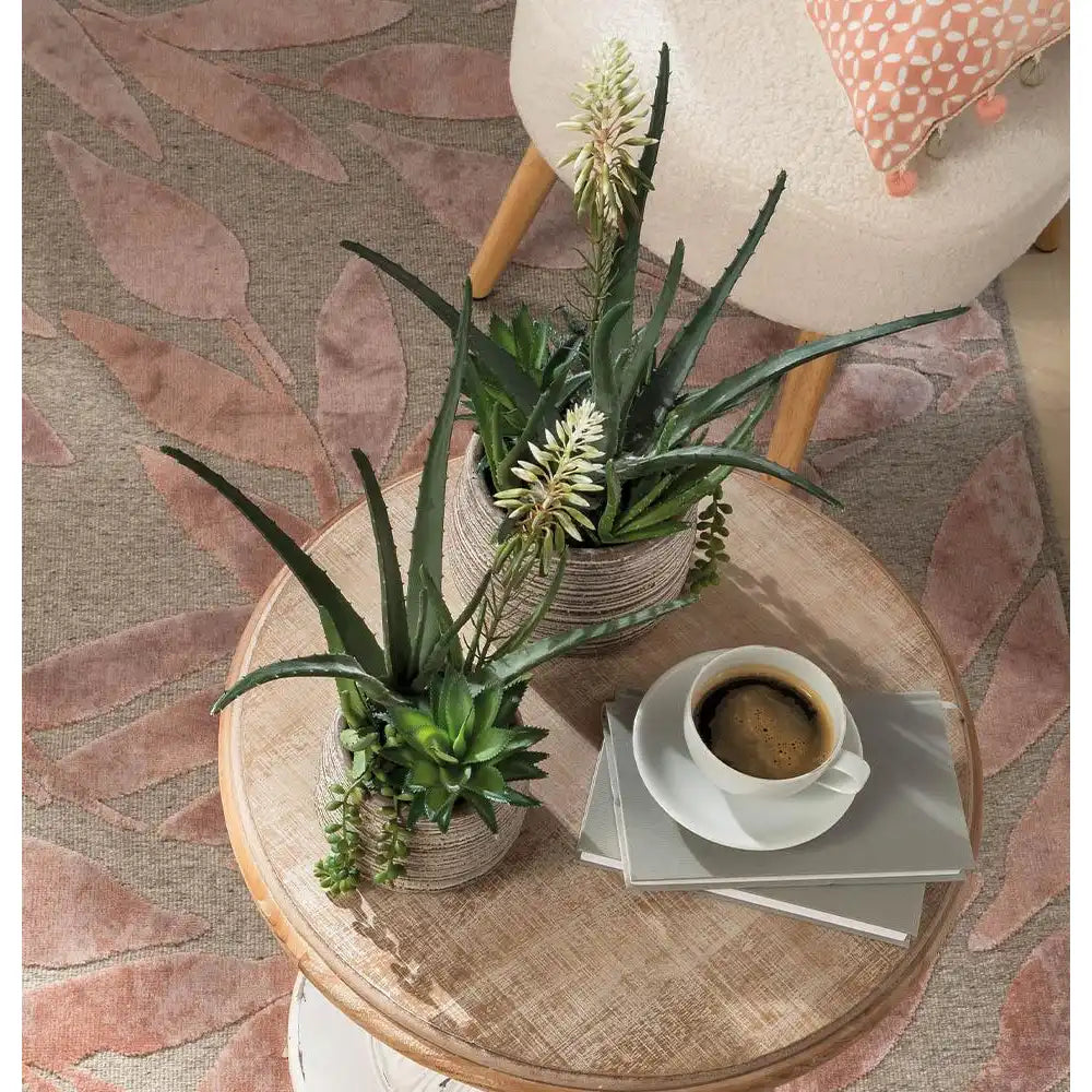 Set 2 Composizioni Piante Grasse Vasi Materici Design | L'Oca Nera