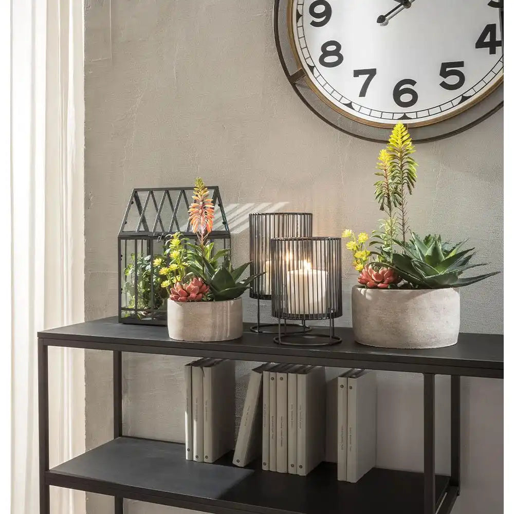 Set 2 Composizioni Piante Grasse Vasi Grigi Materici | L'Oca Nera