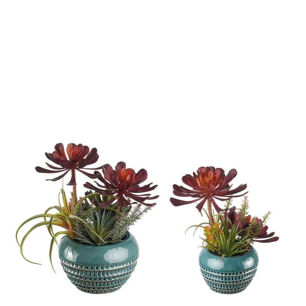 Set 2 Vasi Ceramica con Piante Stile Urban | L'Oca Nera