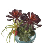 Set 2 Vasi Ceramica con Piante Stile Urban | L'Oca Nera