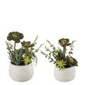 Set 2 Composizioni Piante Grasse Vasi Ceramica Bianca Ethno Chic | L'Oca Nera