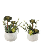 Set 2 Composizioni Piante Grasse Vasi Ceramica Bianca Ethno Chic | L'Oca Nera