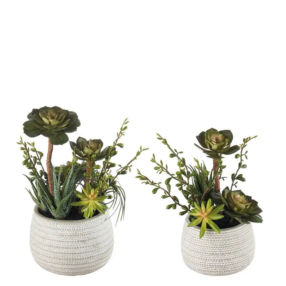 Set 2 Composizioni Piante Grasse Vasi Ceramica Bianca Ethno Chic | L'Oca Nera