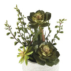 Set 2 Composizioni Piante Grasse Vasi Ceramica Bianca Ethno Chic | L'Oca Nera