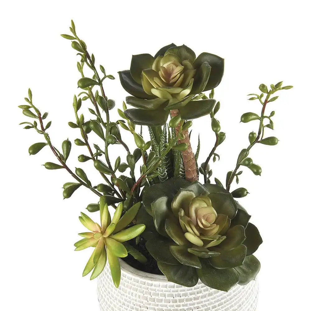 Set 2 Composizioni Piante Grasse Vasi Ceramica Bianca Ethno Chic | L'Oca Nera