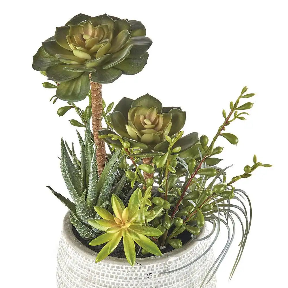 Set 2 Composizioni Piante Grasse Vasi Ceramica Bianca Ethno Chic | L'Oca Nera