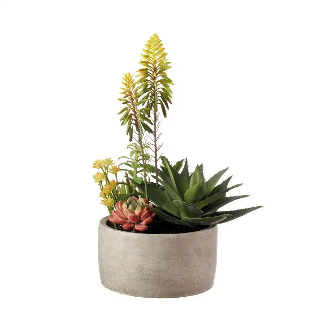 Set 2 Composizioni Piante Grasse Vasi Grigi Materici | L'Oca Nera