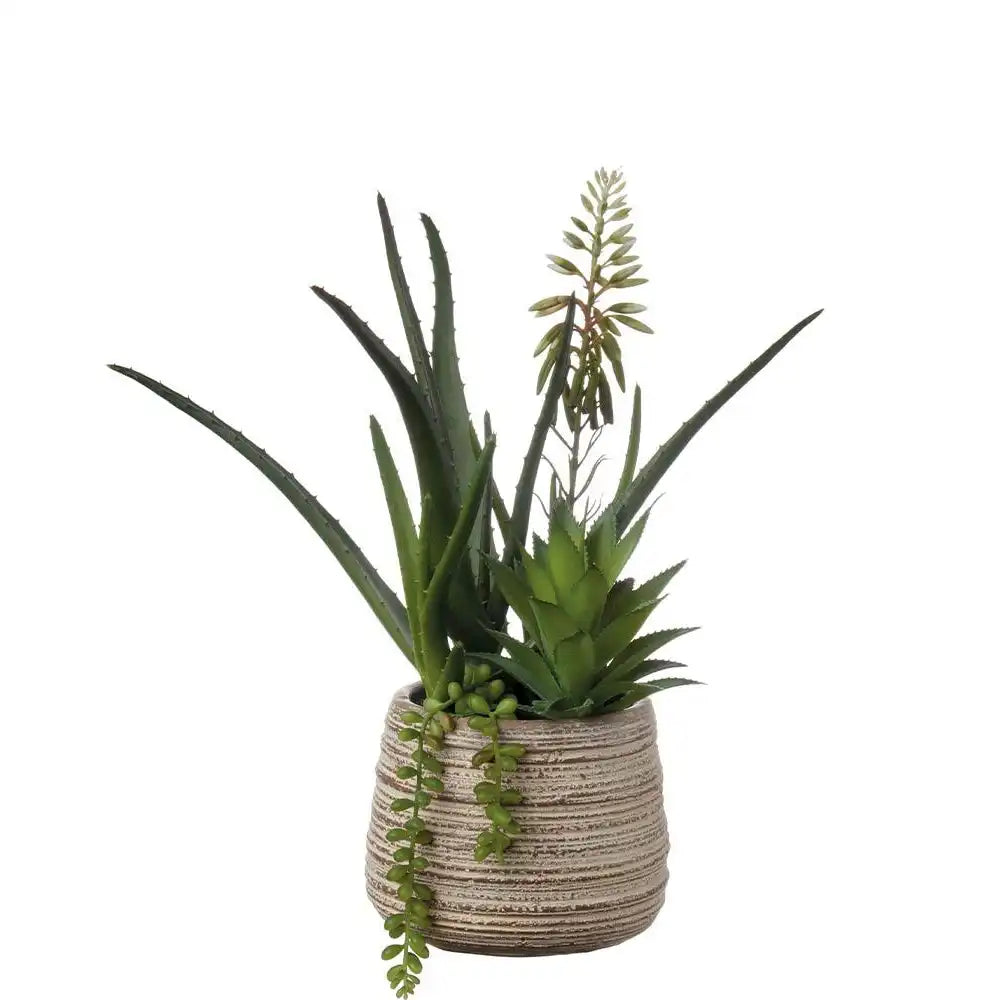 Set 2 Composizioni Piante Grasse Vasi Materici Design | L'Oca Nera