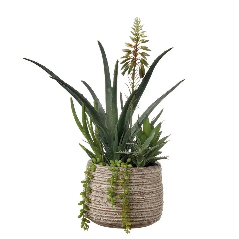 Set 2 Composizioni Piante Grasse Vasi Materici Design | L'Oca Nera