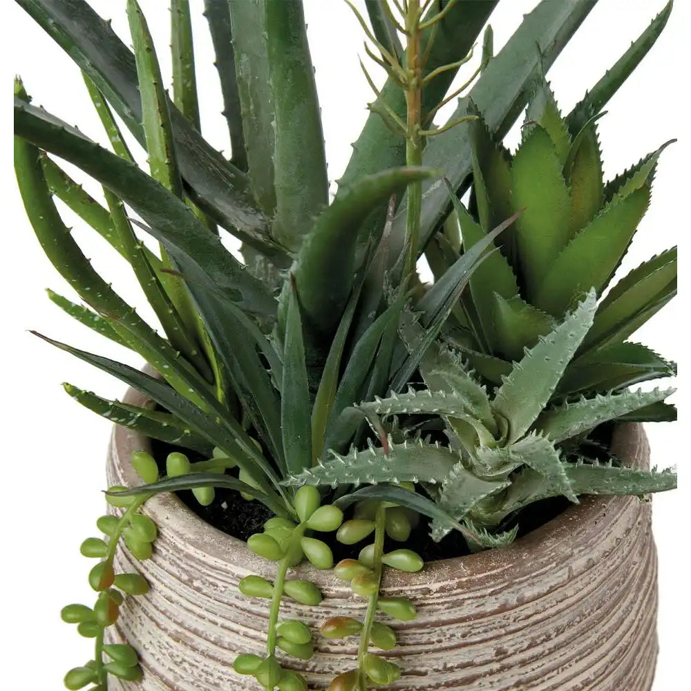 Set 2 Composizioni Piante Grasse Vasi Materici Design | L'Oca Nera