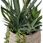 Set 2 Composizioni Piante Grasse Vasi Materici Design | L'Oca Nera