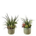 Set 2 Vasi Ceramica Verde Piante Grasse Ethno Chic | L'Oca Nera