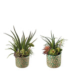 Set 2 Vasi Ceramica Verde Piante Grasse Ethno Chic | L'Oca Nera