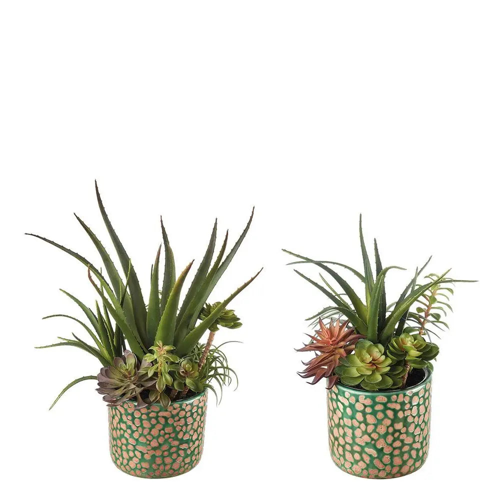 Set 2 Vasi Ceramica Verde Piante Grasse Ethno Chic | L'Oca Nera